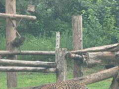 -北京野生动物园