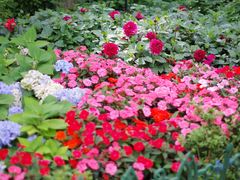 -庐山风景区花径公园