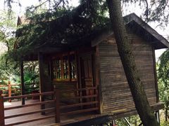 -龟山风景区-龟山电视塔