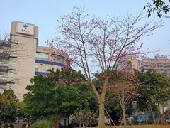 景点-广州七星岗古海岸遗址科学公园