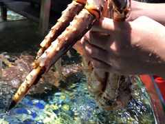 帝王蟹-森谷美食公园(杨行店)