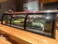 -人间酒暖·Go blanc·烧鸟·深夜食堂(陆家嘴店)