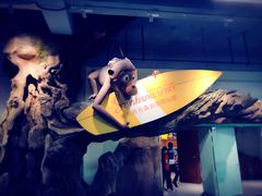 -杭州开元森泊度假乐园