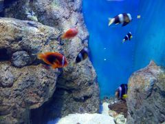 -福州罗源湾海洋世界旅游区