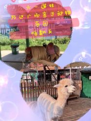 -萌宠亲子动物乐园(槐房万达店)