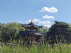 -黑龙江省森林植物园