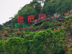 -枇杷园食为鲜火锅(南山店)