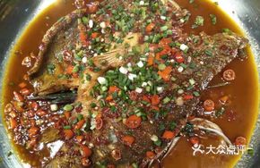 Wild Spider Grouper
