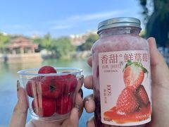 -莓超疯(百源店)
