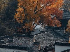-塔川景区