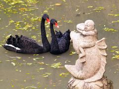 -棕榈岛海鲜自助餐厅(虹桥迎宾馆店)