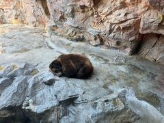-珠海长隆海洋王国