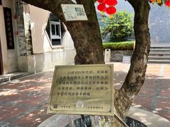 -广州神农草堂中医药博物馆