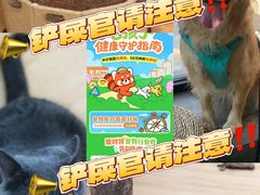 -美联众合动物医院·24h转诊中心