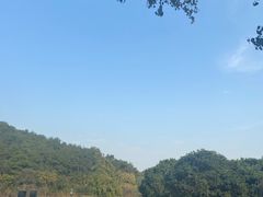 -龙寺生态园