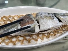 盐焗巴朗鱼-旺来排档
