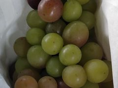 -马陆小张葡萄园农家乐