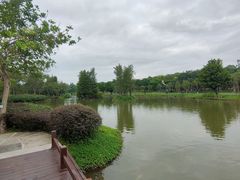 -森波拉奇妙世界