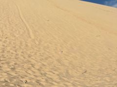 -玉龙沙湖景区