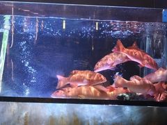 -金翠皇宫粤菜·点心·海鲜(翡翠店)