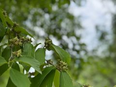 -白塘生态植物园