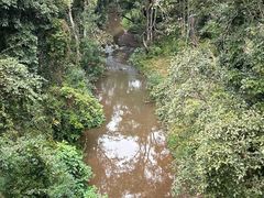 -野象谷景区