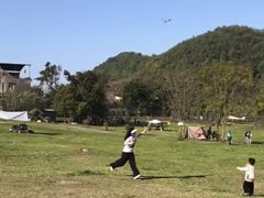 -铁山坪森林公园