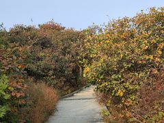 -北京西山国家森林公园