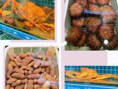 -鲜鲜·鲅鱼圈海鲜(于洪店)