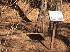 -北京西山国家森林公园