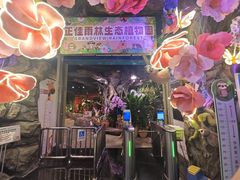 -正佳雨林生态植物园