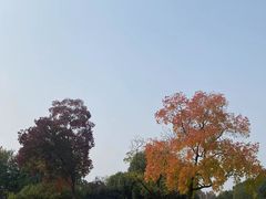 -南京珍珠泉风景区