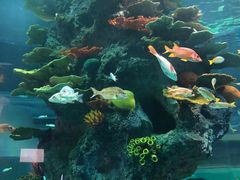 -福州罗源湾海洋世界旅游区