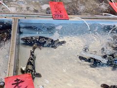 -湛江渔港·大排档(乐园路总店)