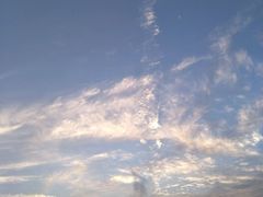 -港式餐厅(阜阳店)