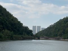 -桃花岭景区