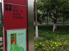 -东升文体公园