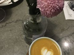 -Nectar One Cafe(勇烈路n1店)