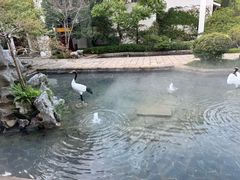 -广富林宰相府酒店·水云间