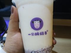 -一只酸奶牛(八一路店)