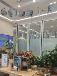 -dōTERRA多特瑞精油生活馆
