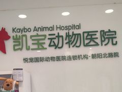 -悦宠凯宝动物医院·牙科·皮肤科(朝阳北路店)