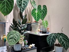 -Dogi&kiki Coffee(中心商务大厦店)