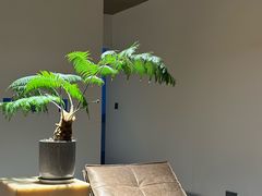 -三圣花乡旅游区