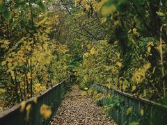 -白鹭湾湿地公园