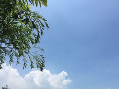 -鼓浪屿内厝澳码头(轮渡站)