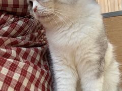 -小小班私人影院·猫咖(万达茂广场店)