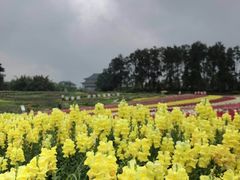 -保利石象湖景区