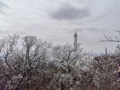 -紫金山山顶公园