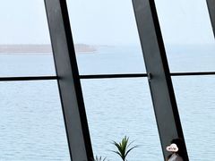 -抱抱地球咖啡馆(国家海洋博物馆店)